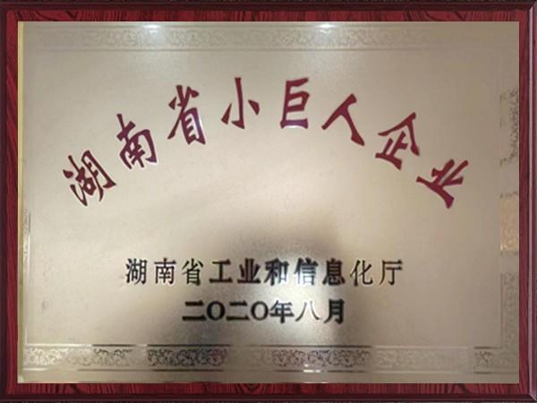 湖南省小巨人企业