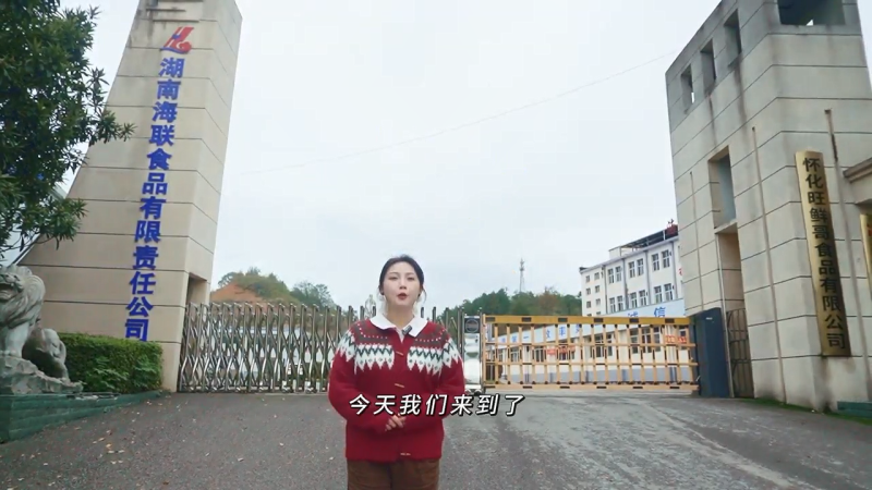 探岗之旅